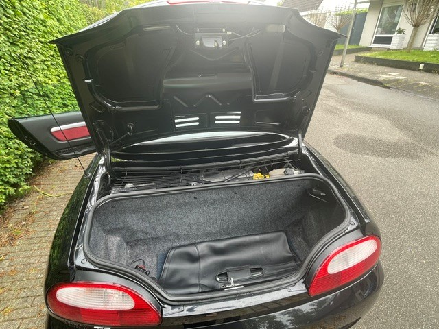 mgf11